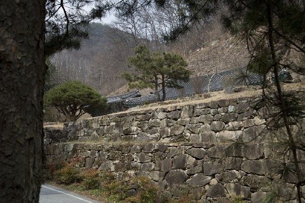 백운암을 향하여 오르는 길목에서