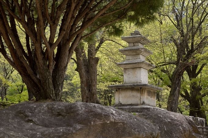 사나사 삼층석탑, 신라탑의 조형성을 이어받고 있으나, 그 규모가 작고, 간략화 된 모습이다.