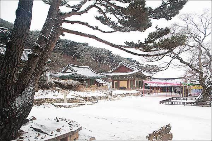 흰눈 쌓인 고요한 산사 강화 '전등사'