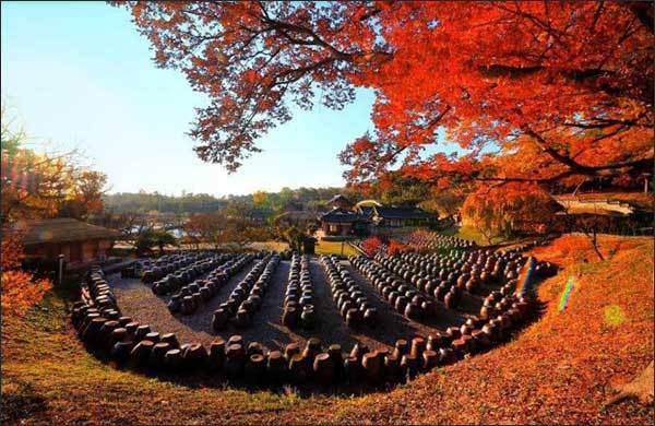 「한국의 장 담그기 문화」 - 장독대(논산 명재고택) - 문화유산청 제공